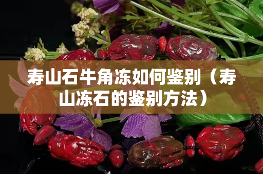 寿山石牛角冻如何鉴别（寿山冻石的鉴别方法）