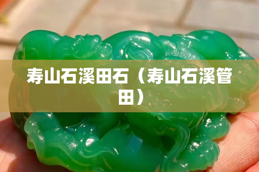 寿山石溪田石（寿山石溪管田）