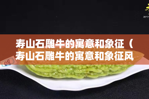 寿山石雕牛的寓意和象征（寿山石雕牛的寓意和象征风水）