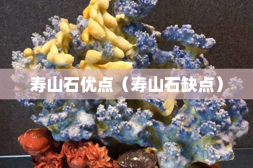 寿山石优点（寿山石缺点）