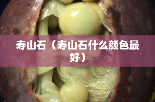 寿山石（寿山石什么颜色最好）