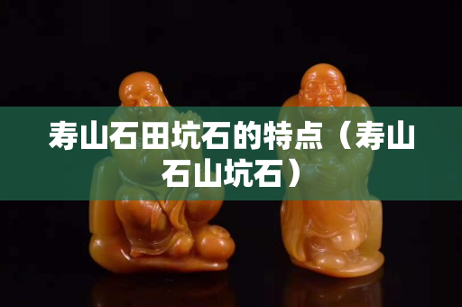 寿山石田坑石的特点（寿山石山坑石）
