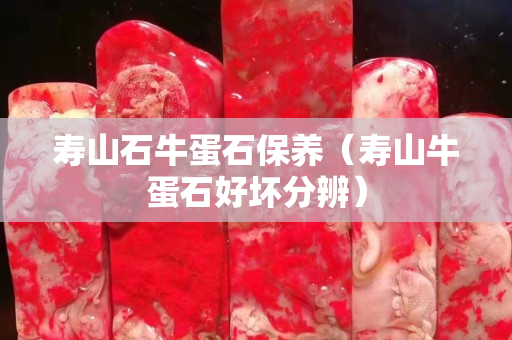 寿山石牛蛋石保养（寿山牛蛋石好坏分辨）