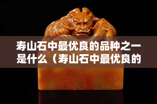 寿山石中最优良的品种之一是什么（寿山石中最优良的品种之一是什么）