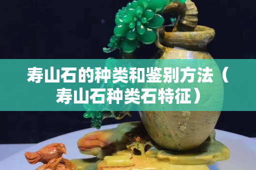 寿山石的种类和鉴别方法（寿山石种类石特征）