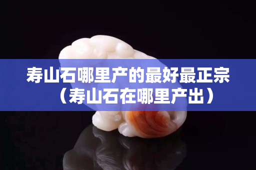 寿山石哪里产的最好最正宗（寿山石在哪里产出）