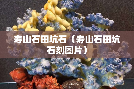 寿山石田坑石（寿山石田坑石刻图片）