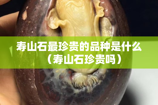 寿山石最珍贵的品种是什么（寿山石珍贵吗）