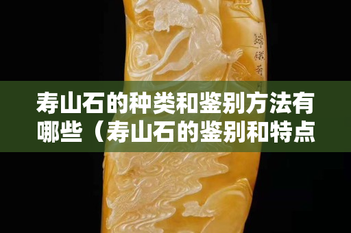 寿山石的种类和鉴别方法有哪些（寿山石的鉴别和特点）