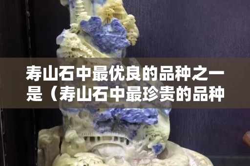 寿山石中最优良的品种之一是（寿山石中最珍贵的品种）