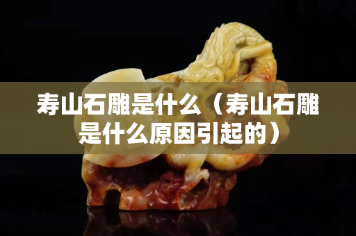 寿山石雕是什么（寿山石雕是什么原因引起的）