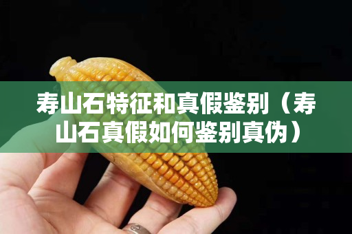 寿山石特征和真假鉴别（寿山石真假如何鉴别真伪）
