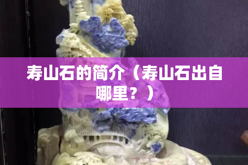 寿山石的简介（寿山石出自哪里？）