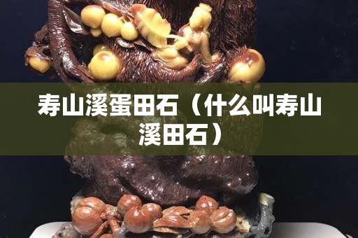 寿山溪蛋田石（什么叫寿山溪田石）
