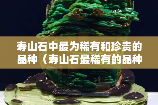 寿山石中最为稀有和珍贵的品种（寿山石最稀有的品种有哪些）