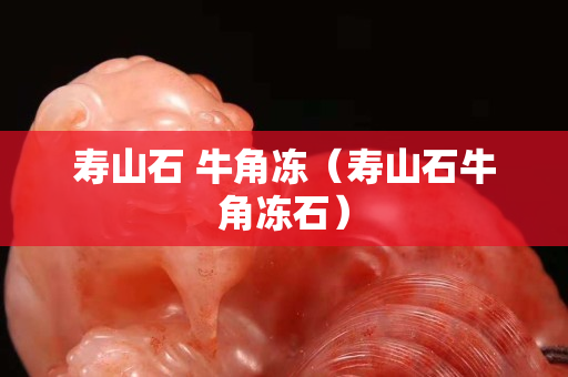 寿山石 牛角冻（寿山石牛角冻石）