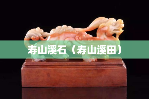 寿山溪石（寿山溪田）