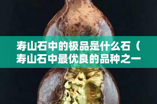 寿山石中的极品是什么石（寿山石中最优良的品种之一）