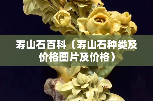 寿山石百科（寿山石种类及价格图片及价格）