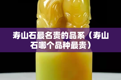 寿山石最名贵的品系（寿山石哪个品种最贵）