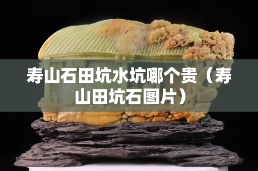 寿山石田坑水坑哪个贵（寿山田坑石图片）