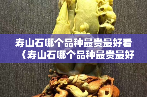 寿山石哪个品种最贵最好看（寿山石哪个品种最贵最好看图片）