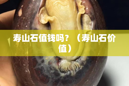 寿山石值钱吗？（寿山石价值）