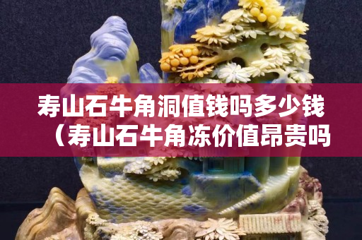 寿山石牛角洞值钱吗多少钱（寿山石牛角冻价值昂贵吗）