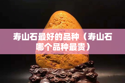 寿山石最好的品种（寿山石哪个品种最贵）