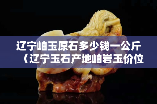 辽宁岫玉原石多少钱一公斤（辽宁玉石产地岫岩玉价位）