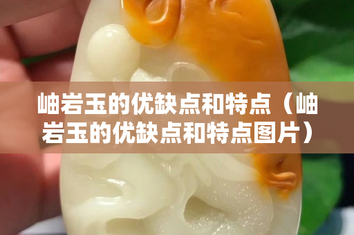 岫岩玉的优缺点和特点（岫岩玉的优缺点和特点图片）