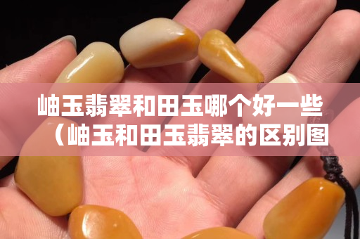 岫玉翡翠和田玉哪个好一些（岫玉和田玉翡翠的区别图片）