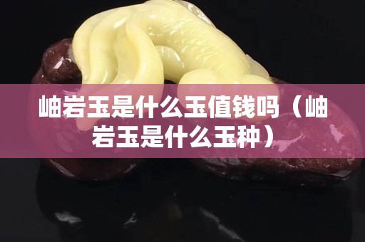 岫岩玉是什么玉值钱吗（岫岩玉是什么玉种）