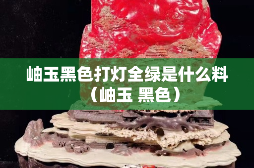 岫玉黑色打灯全绿是什么料（岫玉 黑色）