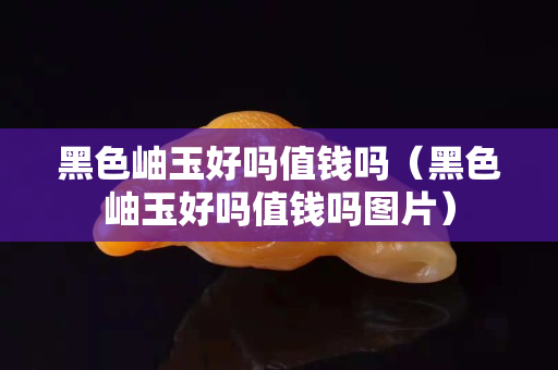 黑色岫玉好吗值钱吗（黑色岫玉好吗值钱吗图片）