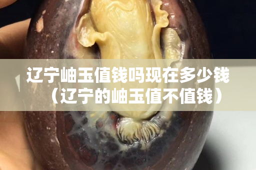 辽宁岫玉值钱吗现在多少钱（辽宁的岫玉值不值钱）