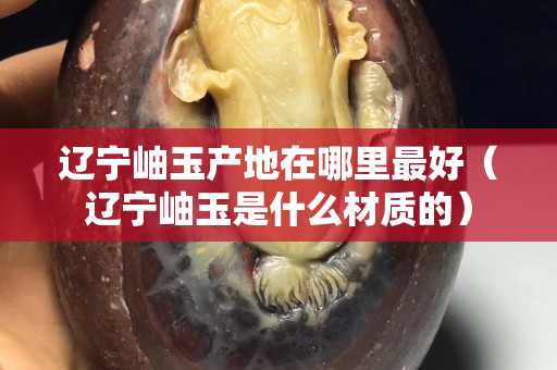 辽宁岫玉产地在哪里最好（辽宁岫玉是什么材质的）