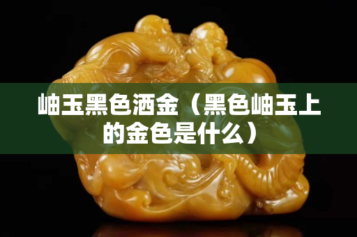 岫玉黑色洒金（黑色岫玉上的金色是什么）
