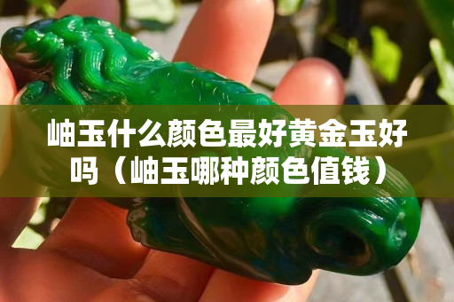 岫玉什么颜色最好黄金玉好吗（岫玉哪种颜色值钱）