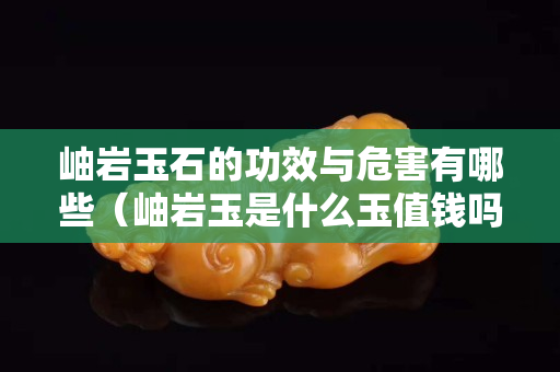 岫岩玉石的功效与危害有哪些（岫岩玉是什么玉值钱吗）