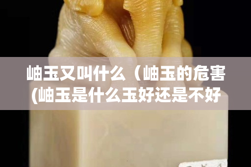 岫玉又叫什么（岫玉的危害(岫玉是什么玉好还是不好)）