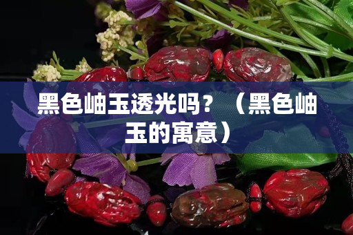 黑色岫玉透光吗？（黑色岫玉的寓意）