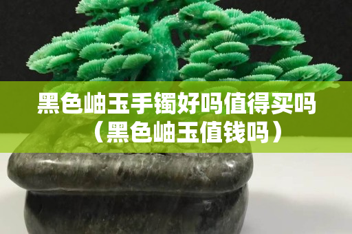 黑色岫玉手镯好吗值得买吗（黑色岫玉值钱吗）