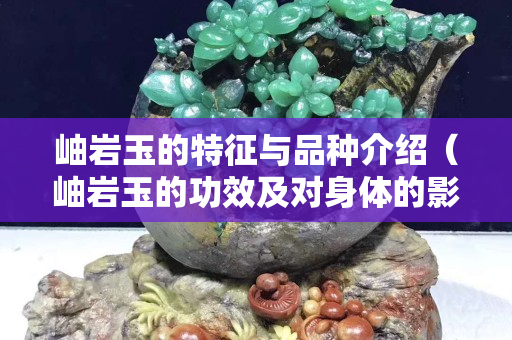 岫岩玉的特征与品种介绍（岫岩玉的功效及对身体的影响）