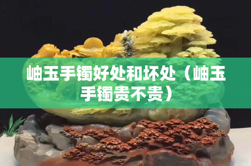 岫玉手镯好处和坏处（岫玉手镯贵不贵）