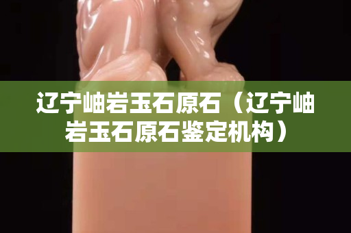 辽宁岫岩玉石原石（辽宁岫岩玉石原石鉴定机构）