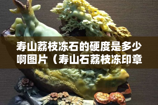 寿山荔枝冻石的硬度是多少啊图片（寿山石荔枝冻印章精品价格）
