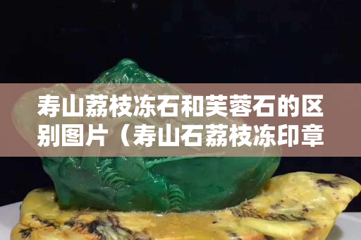 寿山荔枝冻石和芙蓉石的区别图片（寿山石荔枝冻印章精品价格）