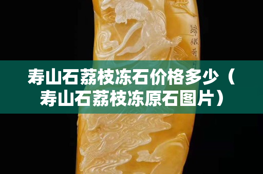寿山石荔枝冻石价格多少（寿山石荔枝冻原石图片）
