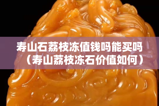 寿山石荔枝冻值钱吗能买吗（寿山荔枝冻石价值如何）